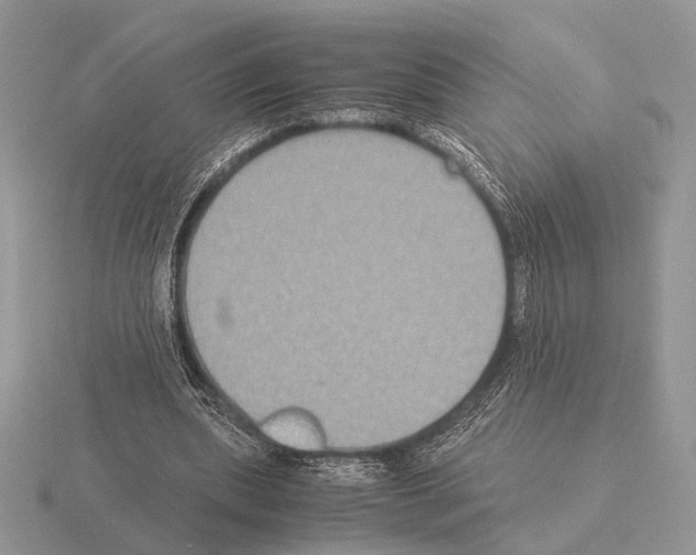 X0000115350439200912151339