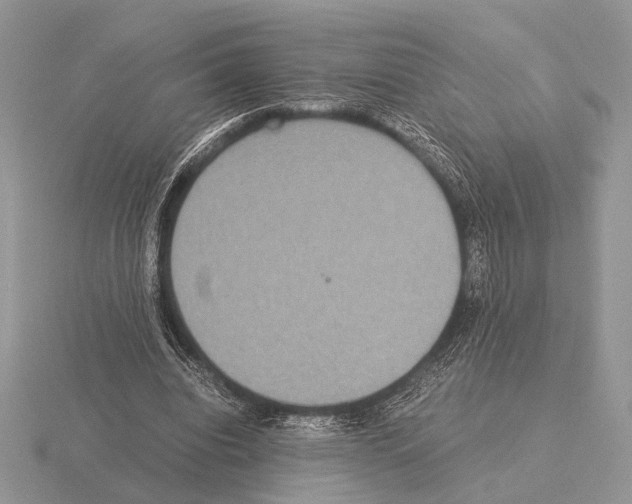 X0000115350440200912151339