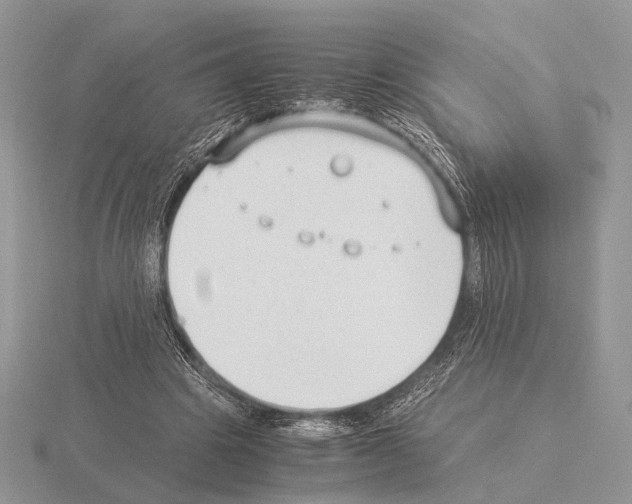 X0000115350441200912151339