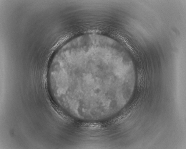 X0000115350443200912151339