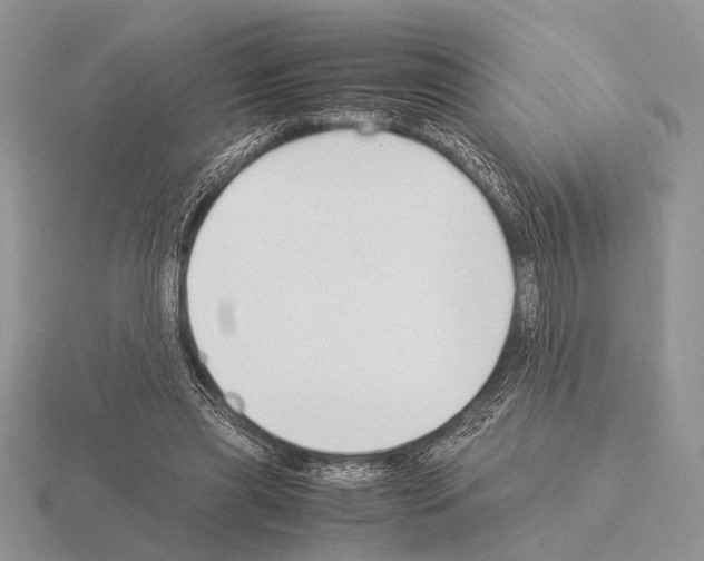 X0000115350445200912151339