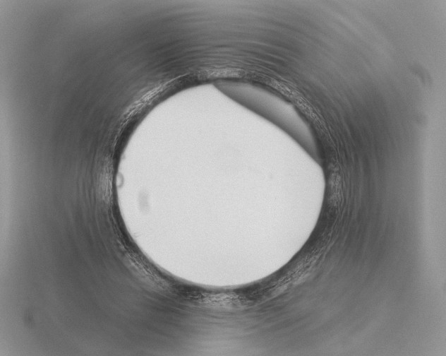 X0000115350446200912151339