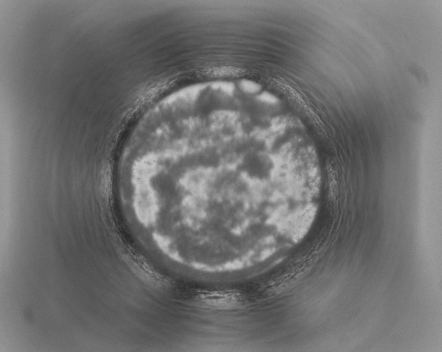 X0000115350447200912151339