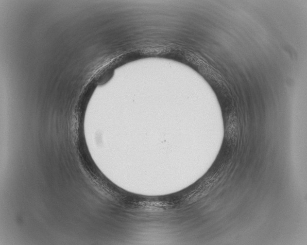 X0000115350448200912151339