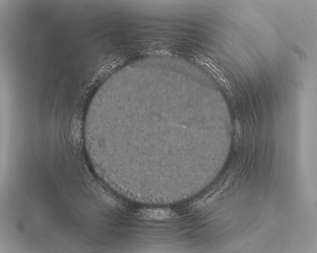 X0000115350449200912151339