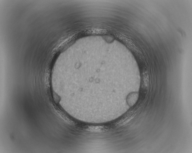 X0000115350450200912151339