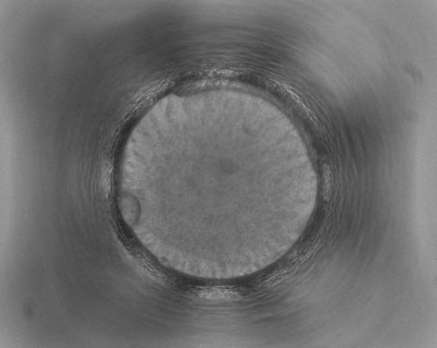 X0000115350451200912151339