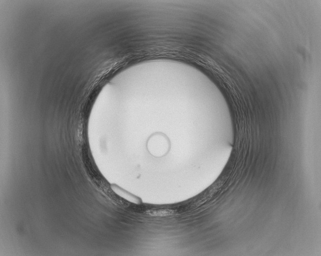 X0000115350452200912151339