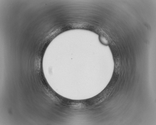 X0000115350454200912151340