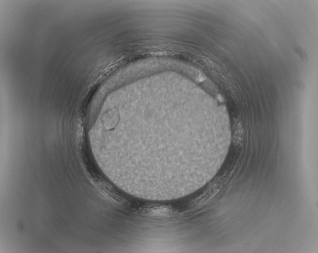 X0000115350456200912151340