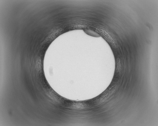 X0000115350457200912151340