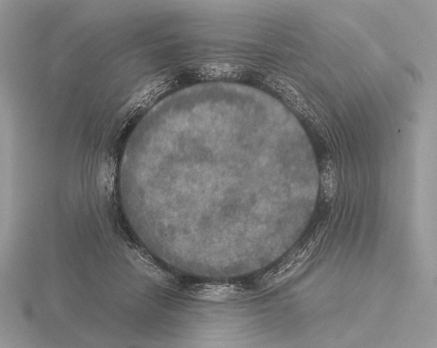 X0000115350458200912151340