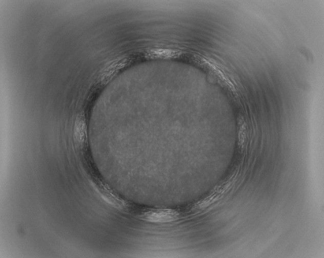 X0000115350459200912151340