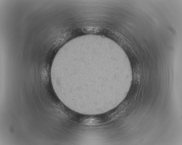 X0000115350460200912151340