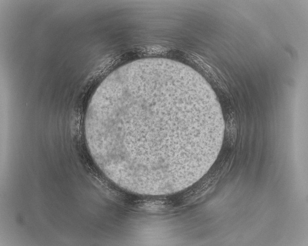 X0000115350462200912151340