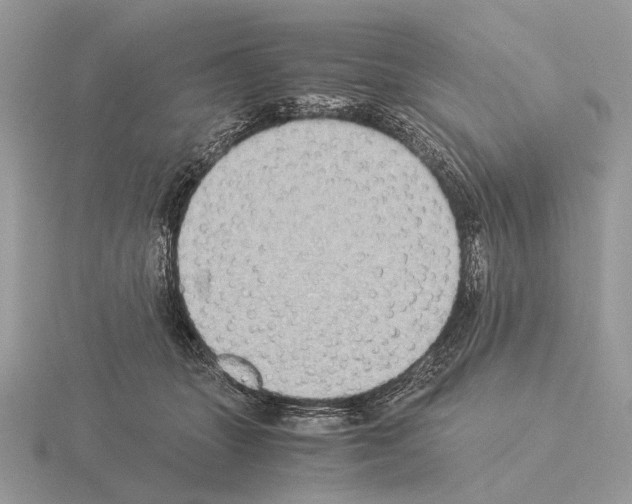 X0000115350463200912151340