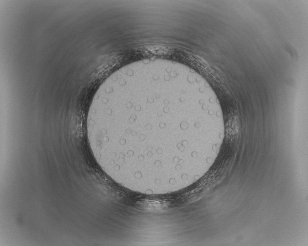 X0000115350464200912151340