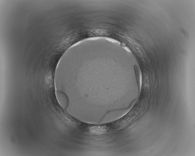 X0000115350465200912151340