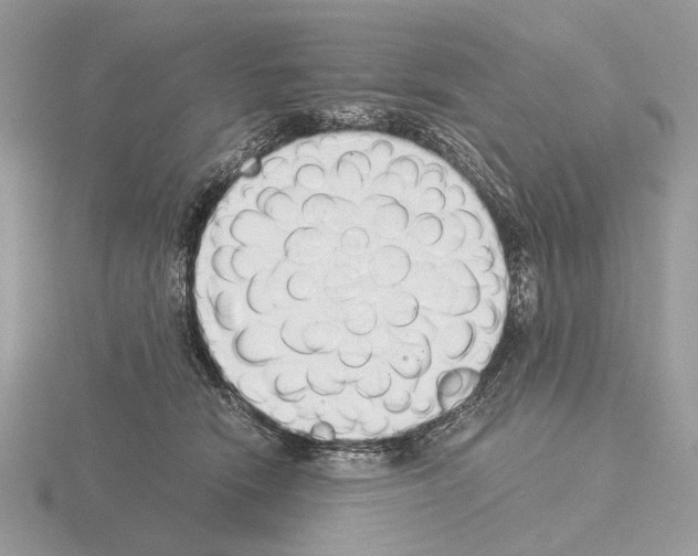 X0000115350466200912151340