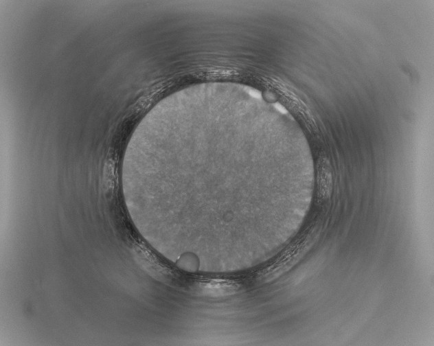 X0000115350467200912151340