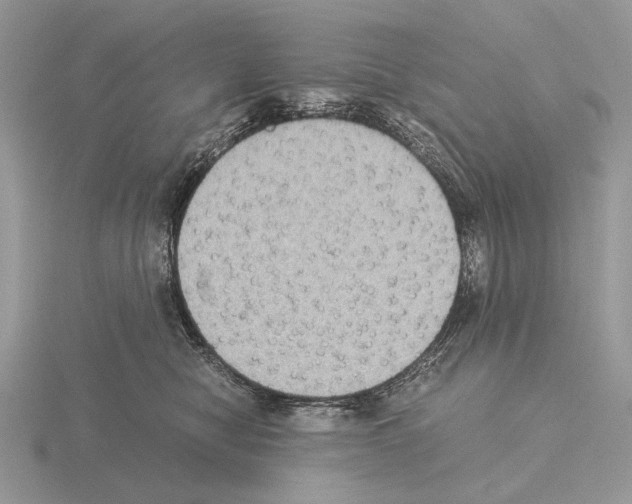 X0000115350470200912151340