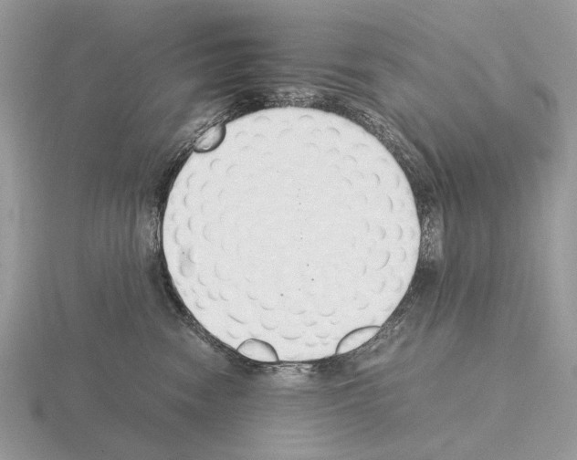 X0000115350474200912151340