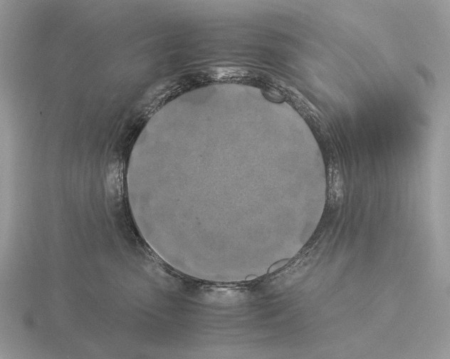 X0000115350475200912151340