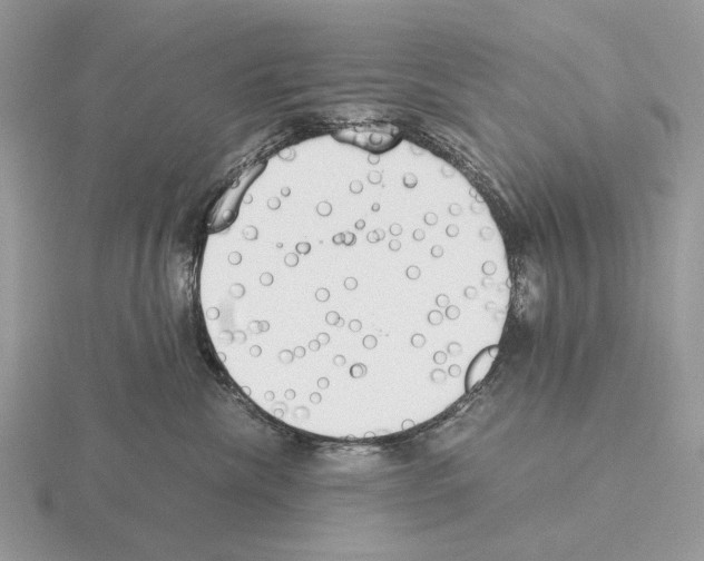 X0000115350476200912151340