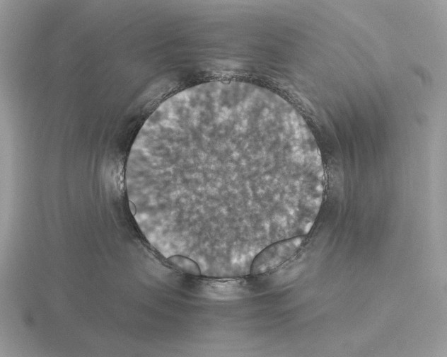 X0000115350479200912151340