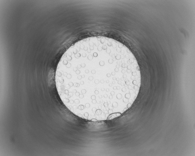 X0000115350480200912151340