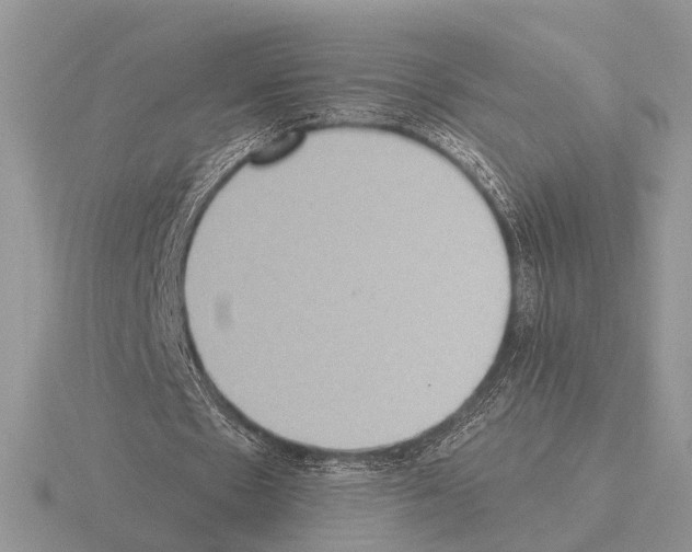 X0000115350481200912151339