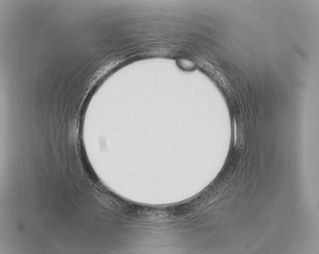 X0000115350483200912151339