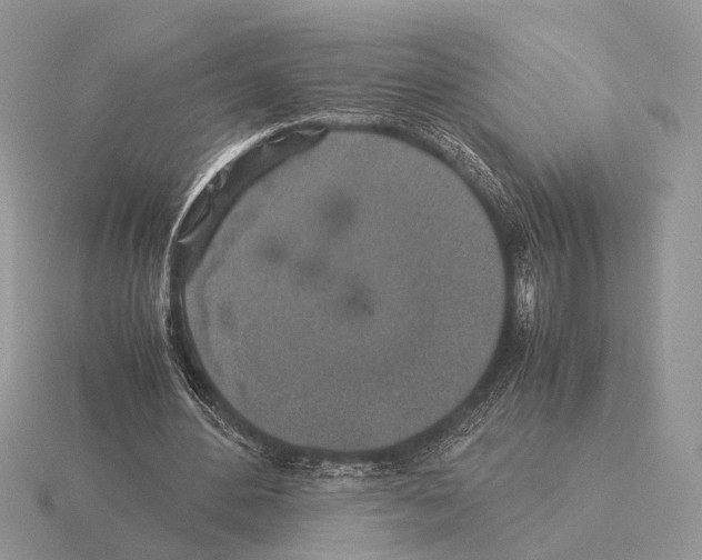 X0000115350484200912151339