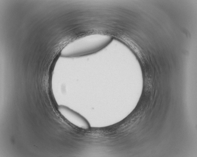 X0000115350485200912151339