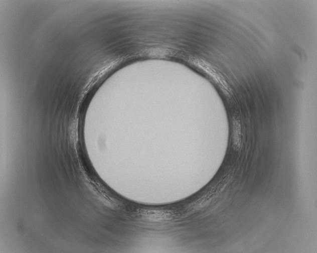 X0000115350486200912151339