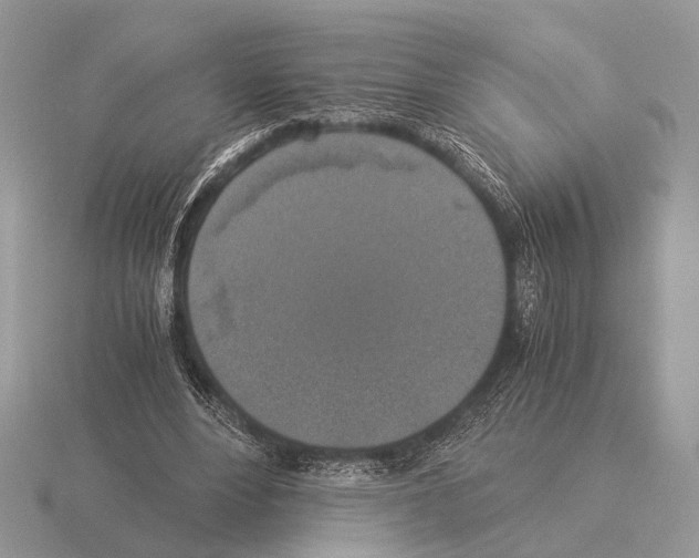 X0000115350488200912151339