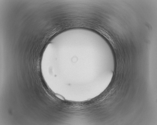 X0000115350489200912151339