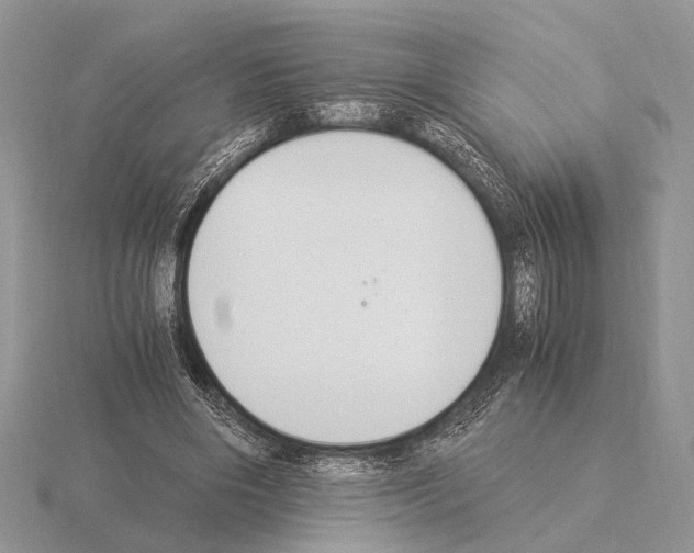 X0000115350490200912151339