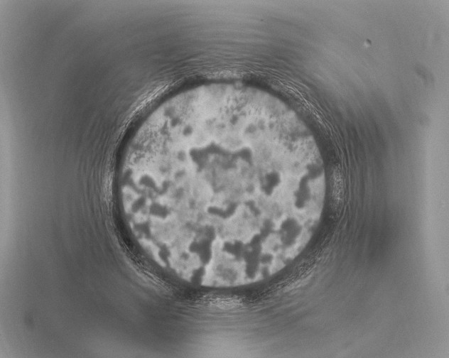 X0000115350491200912151339