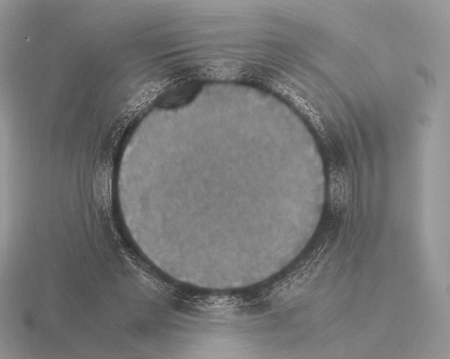 X0000115350493200912151339