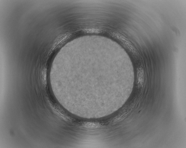 X0000115350494200912151339