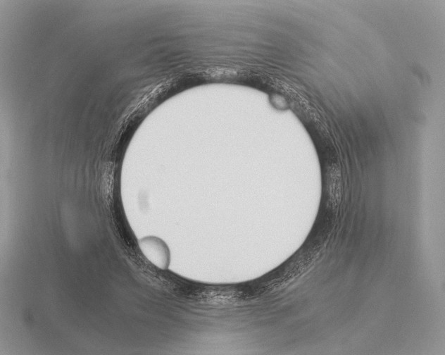 X0000115350495200912151339