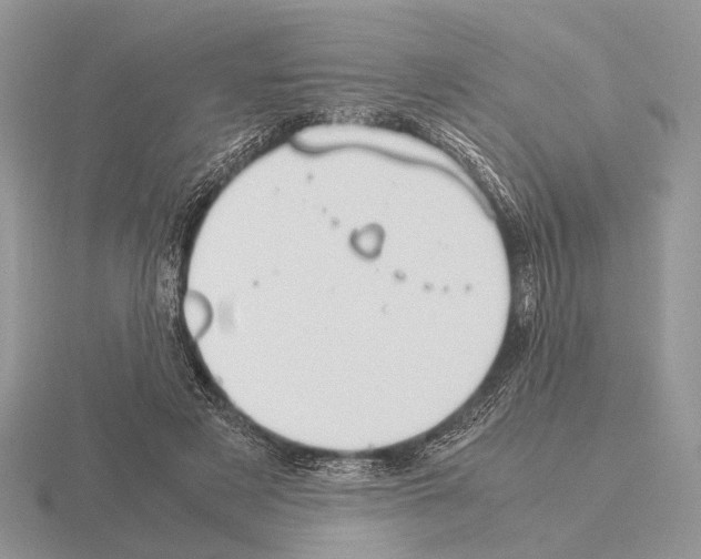 X0000115350497200912151339