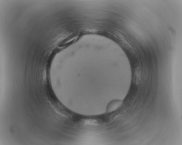 X0000115350500200912151339