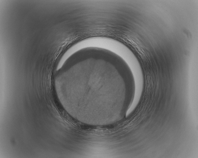 X0000115350504200912151339