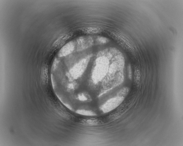 X0000115350506200912151339