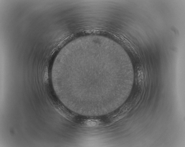 X0000115350508200912151339