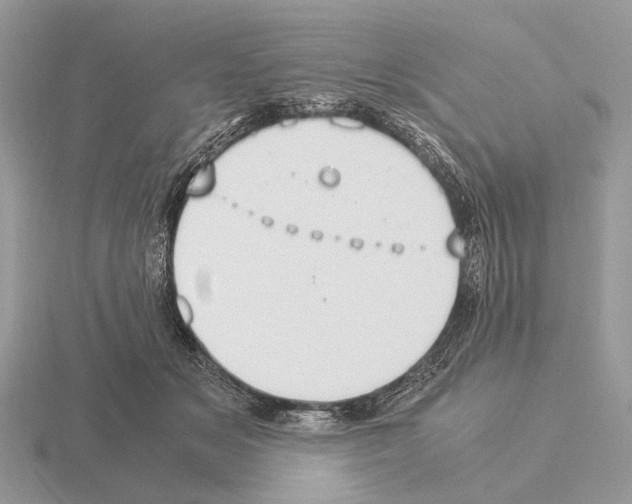 X0000115350509200912151339