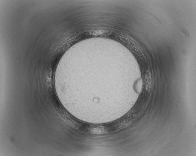 X0000115350510200912151339