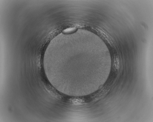 X0000115350512200912151339